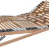 Ahorn Rošt Portoflex HN - polohovací 140x200